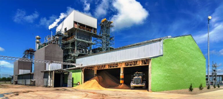 Biomass - Renewable and Sustainable Energy