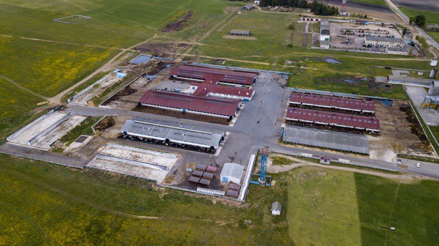 Biogas And Agriculture - Reurasia